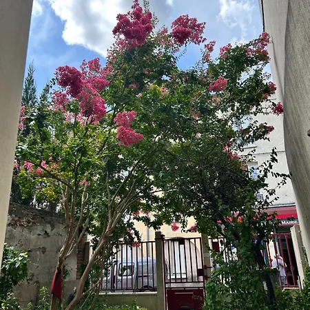 Apartment 14m2